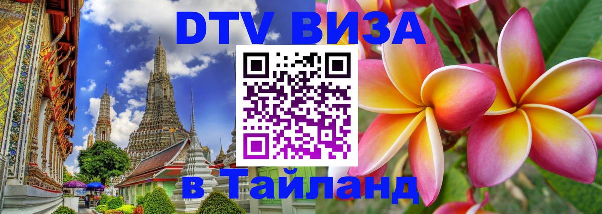 Оформление DTV визы под ключ: стоимость и тарифы, только загранпаспорт - 20.11.2025 
